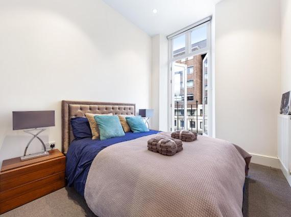 Harley Street Luxury Snug Apartment Londra Exterior foto