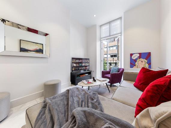 Harley Street Luxury Snug Apartment Londra Exterior foto