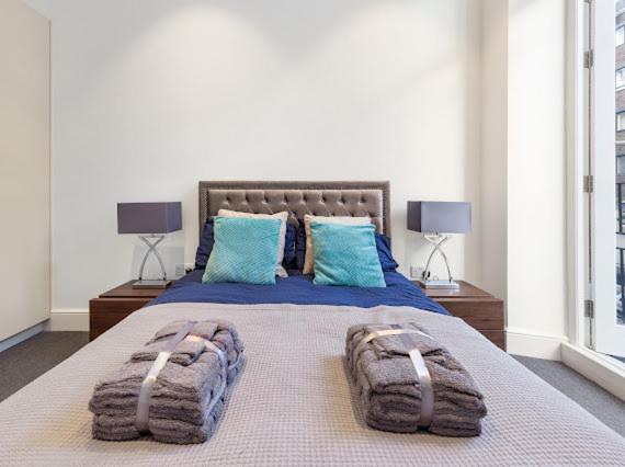 Harley Street Luxury Snug Apartment Londra Exterior foto