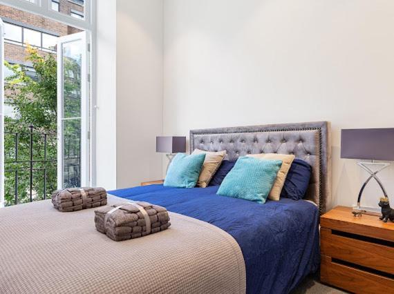 Harley Street Luxury Snug Apartment Londra Exterior foto